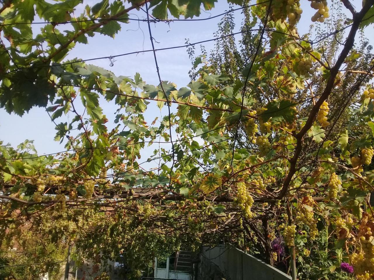 Apartment Giorgi In 西格纳吉 外观 照片